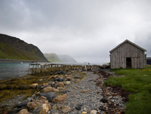 Maisemakuvaus