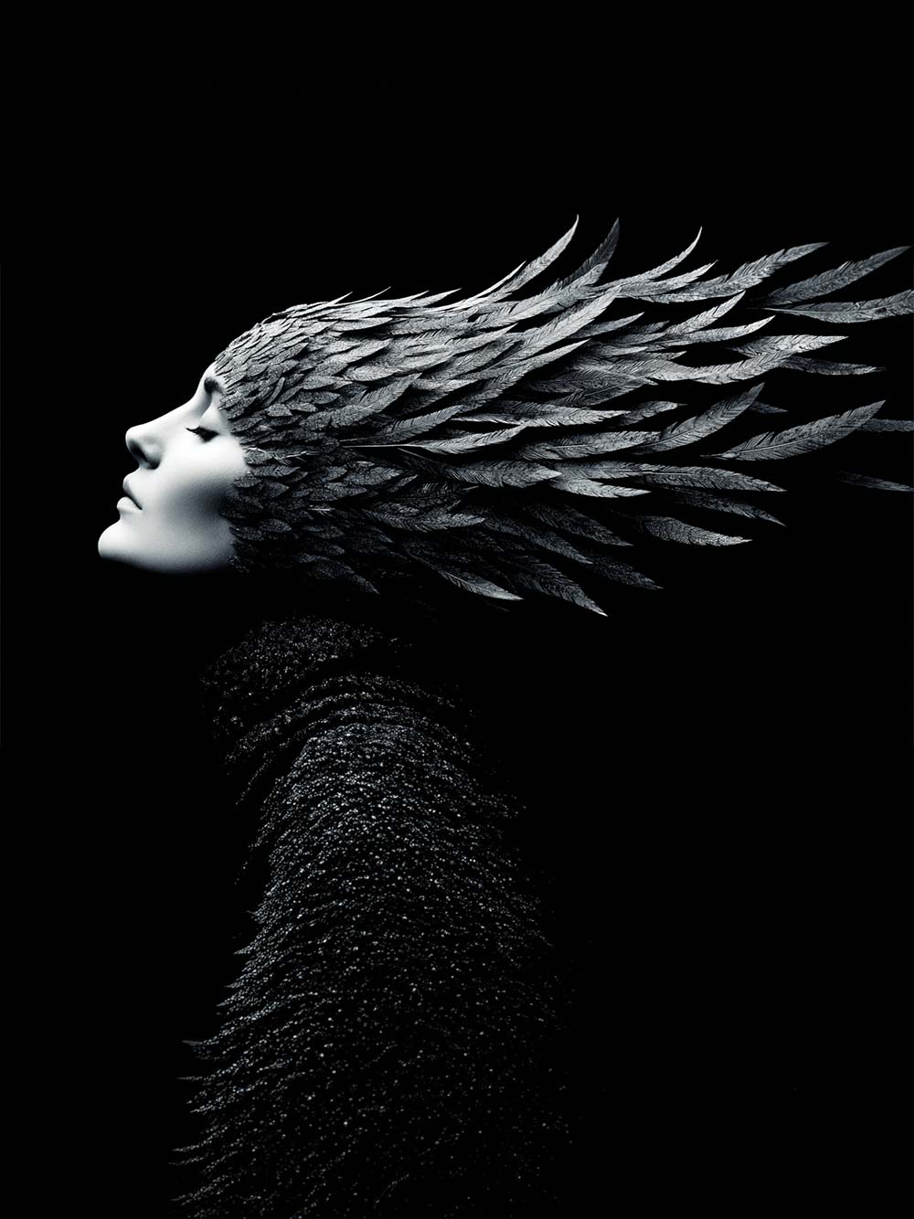 The Silver Plume