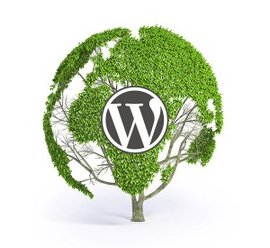 WordPress kotisivut yritykselle