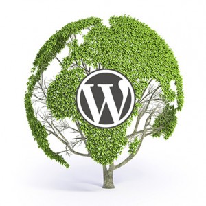 WordPress verkkosivut